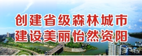 中国操逼视频创建省级森林城市 建设美丽怡然资阳